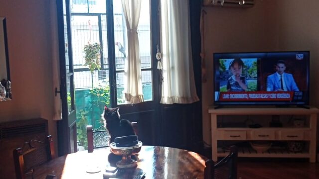 WhatsApp Image 2024-08-28 at 15.46.16 (1)