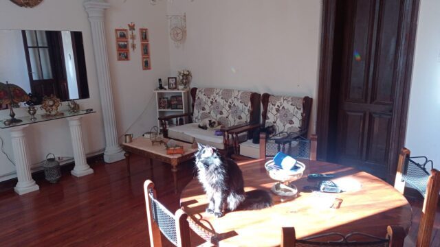 WhatsApp Image 2024-08-28 at 15.46.16 (2)